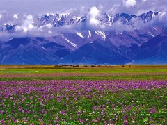 成都自助游
