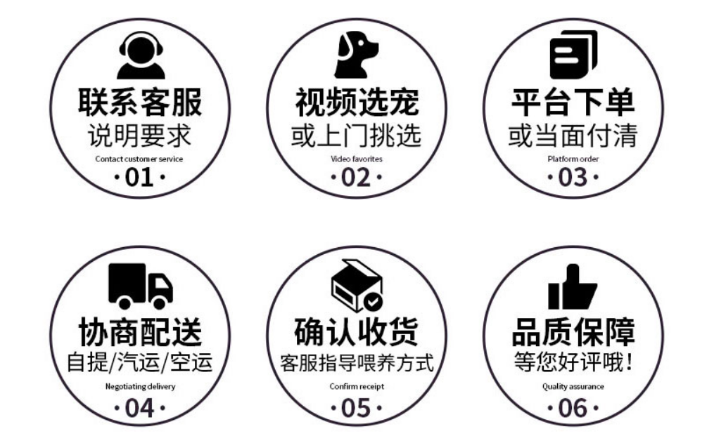 犬舍繁殖基地