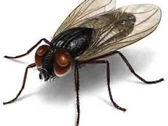 上格生物科技有限公司