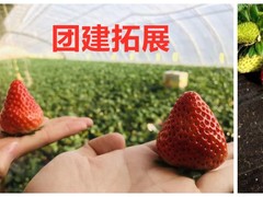誠志天鴻
