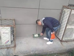 乐山灭白蚁公司