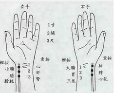 北京嘉和永康中医药研究院