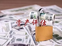 好评评估咨询