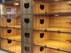 创新宠物柜笼直销店