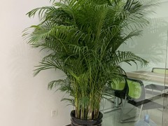 威海园林公司