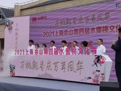 上海霄龙文化传播有限公司