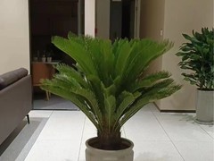 天津市西青区鑫达花卉经营部
