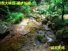 誠(chéng)志天鴻