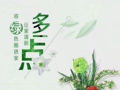 东莞花卉价格