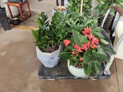 伊佧布创意礼品