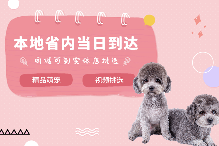 犬舍繁殖基地