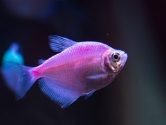 21世纪鱼缸水族维护公司