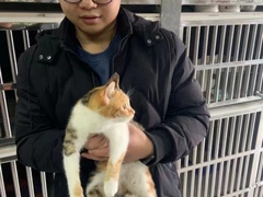 上海长宁区流浪猫狗宠物小动物收养收容救助领养中心基地站