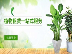 石家庄干花店