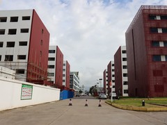 东莞橡果教育
