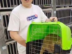 上海长宁区流浪猫狗宠物小动物收养收容救助领养中心基地站