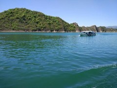 誠志天鴻
