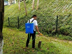 绵阳灭鼠公司