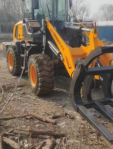 诚信直销龙工20抓车，抓铲两用