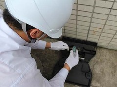 宁波灭蟑螂公司