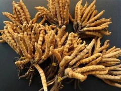 威海茅台酒回收