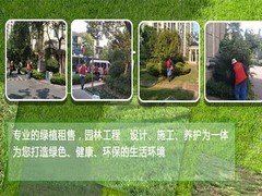 泰州干花店
