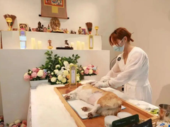 北京寵物火化