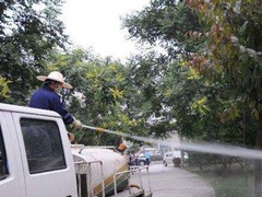 绵阳灭鼠公司