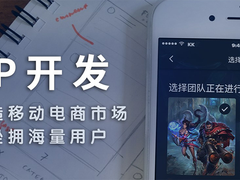 北京系统开发公司