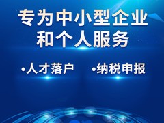 海口外资公司注册