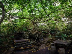海口自由行