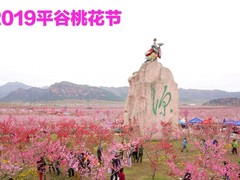 誠志天鴻