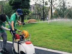 绵阳灭鼠公司