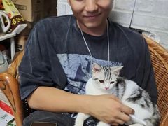 上海普陀区宠物小动物流浪猫狗救助领养收容收养中心基地站