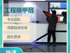 皇苹果除甲醛公司