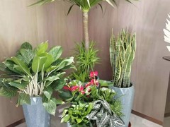海南尚谷植颜园林景观有限公司