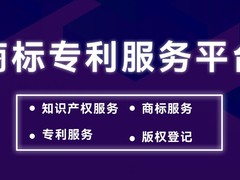 保定检索咨询