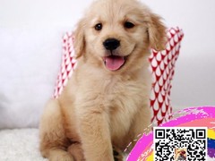 环奥名宠