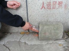 宜宾灭鼠公司