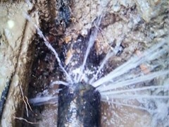 上海信胜诚水管检测技术工程有限公司