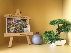 大连宠物服务有限公司