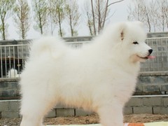雷克萨斯~贵阳