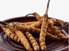粤鸿茅台酒洋酒虫草礼品回收商