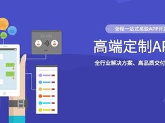 连云港系统开发公司