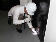 泰州杀虫灭鼠公司