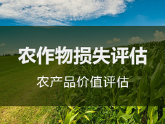 威海商誉评估公司