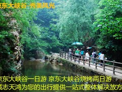 诚志天鸿