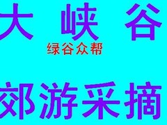 綠谷眾幫