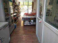 河南大果转租网1