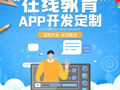 北京系统开发公司
